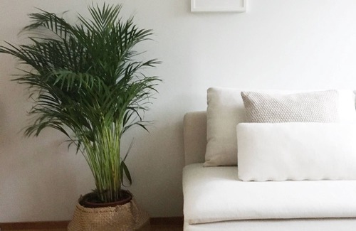Punavuori Apartment | Relax at Roost Pursimiehenkatu: Spa & Family-Friendly Stays