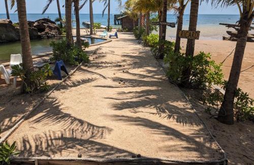 Ham Ninh House | Unforgettable Stays at Rorys Beach Bar with Pool & Dining