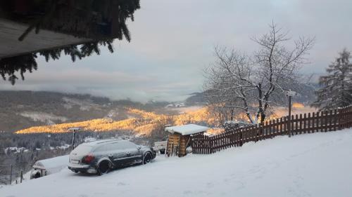 Lavarone Apartment | Pet-Friendly Rosa dei Venti with High Guest Ratings