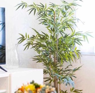 Distrito Llano Apartment | Pet-Friendly Retreat at Rosarito Suite with High Ratings