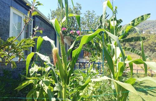 Sarigerme Apartment | Budget-Friendly Rose Apart: Child-Friendly & Highly Rated