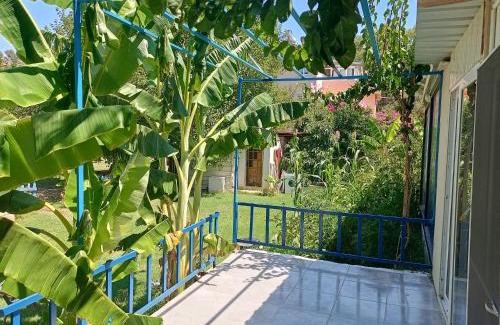Sarigerme Apartment | Budget-Friendly Rose Apart: Child-Friendly & Highly Rated