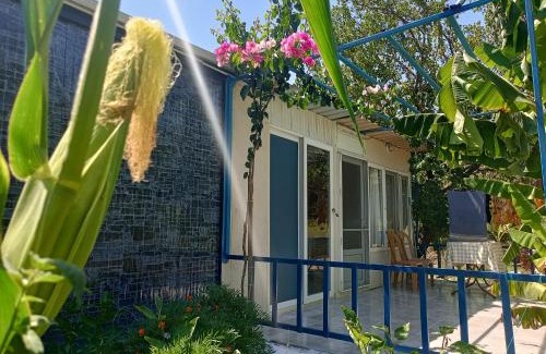 Sarigerme Apartment | Budget-Friendly Rose Apart: Child-Friendly & Highly Rated