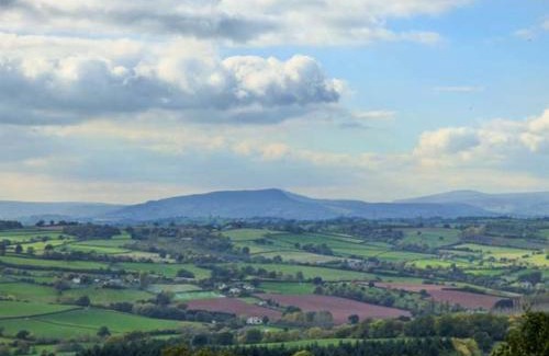 Monmouth House | Experience Rose Cottage: 5-Star Haven for Pet Lovers
