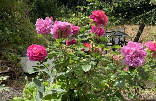 East Portlemouth House | Rose Cottage: Family & Pet-Friendly Retreat Awaits You