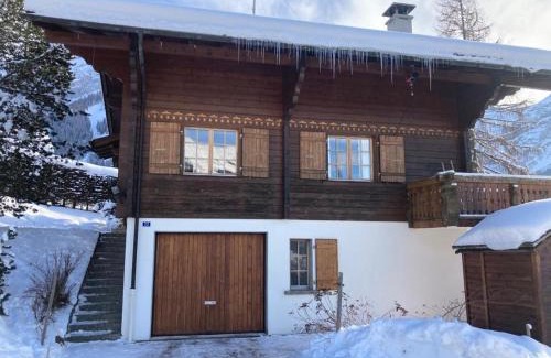 Ormont-Dessus Apartment | Rose de Noël: Family-Friendly Stay Rated 8.5/10