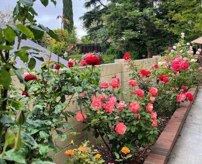 Thousand Oaks House | Rose Garden Home: 4-Bedroom Retreat with Spa & Offices