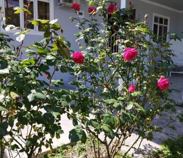Sheki Apartment | Family-Friendly Retreat at Rose House - Guest Rated 8.8/10