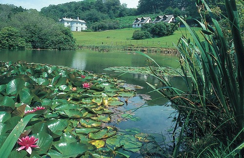 Liskeard Cottage | Perfect 3 Bedroom Stay Near Liskeard with Lake Views