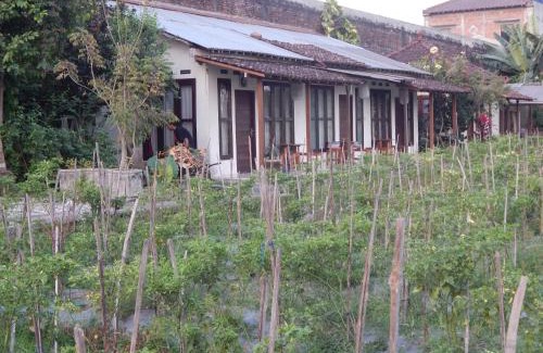 Sleman Resort | Homely Retreat at Rosella Cottages - Yogyakarta Escape