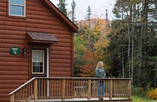 Bethlehem Cabin | Rosewood Villa 102: Cozy High-End Log Cabin with Pool