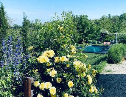 Novello Apartment | Elegant Villa with Pool in Barolo Region - Perfect for Families