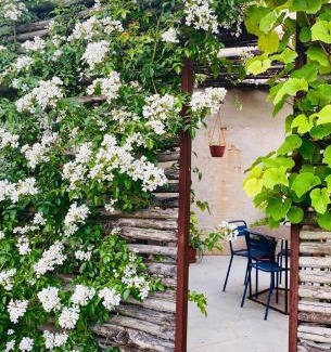 Novello Apartment | Elegant Villa with Pool in Barolo Region - Perfect for Families