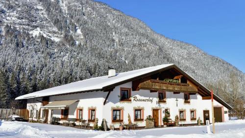 Leutasch House | Rosumerhof: Pet-Friendly Retreat with Family Amenities