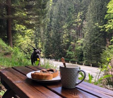 Spindleruv Mlyn House | Discover Roubenka Volský Důl: Pet-Friendly Retreat