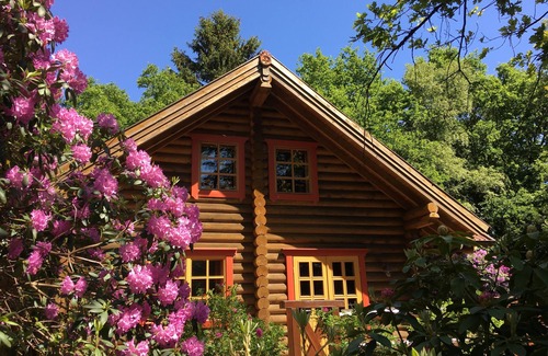 Mollberg House | Experience Comfort at Haus am Waldsee with Ocean View