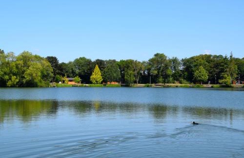York House | Rowan Lodge: Family & Pet-Friendly Retreat with Hot Tub