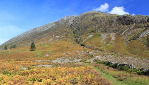 Clachaig House | Family-Friendly Rowan Tree Lodge with Excellent 9/10 Rating
