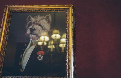 Cardeston Hotel | Guest Rated 10/10 at Rowton Castle with Breakfast Included