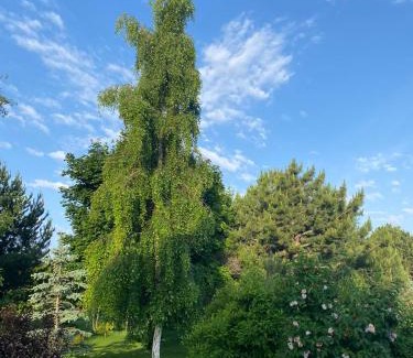 Issyk-Kul Region House | Family-Friendly Stay at Royal Beach Hotel Awaits You