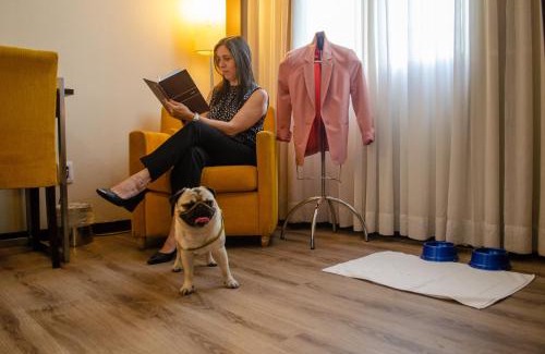 Savassi Hotel | Elegant Royal Boutique Savassi Hotel with Spa & Pet Friendly