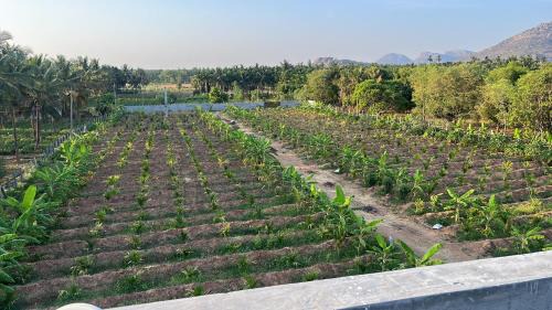 Koratagere House | Royal Devansh farm
