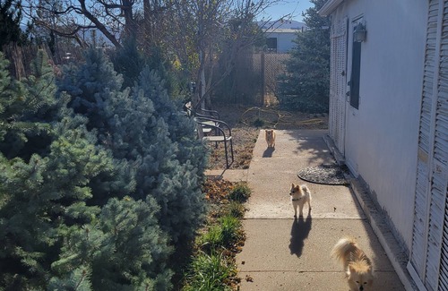 Florence House | Pet-Friendly Royal Gorge Arkansas River Retreat with Spa