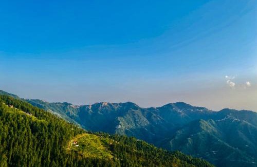 Shilon Bagh Hotel | Discover Royal Green Mashobra: Mountain Views & Pet-Friendly