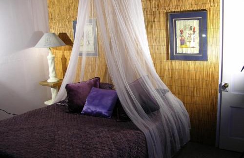 Geyserville House | Relax at Royal Nesu Retreat House with Pool & Hot Tub
