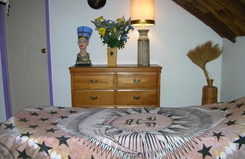 Geyserville House | Relax at Royal Nesu Retreat House with Pool & Hot Tub