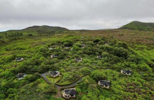 Santa Rosa Hotel | Elegant Royal Palm Galapagos: Oceanfront Retreat with Spa
