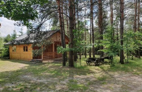 Susiec House | Pet-Friendly Escape at ROZTOCZE U ALEKSA in Susiec