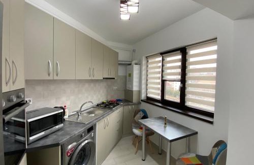 Iasi Apartment | Pet-Friendly RS River Towers: 4-Star Hotel, Rated 9.6/10