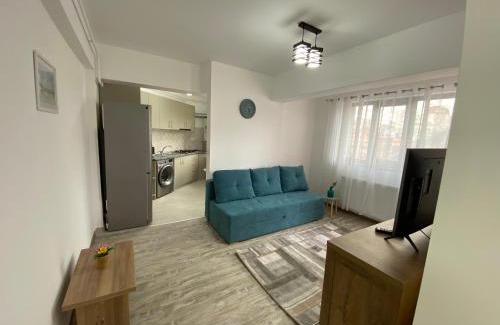 Iasi Apartment | Pet-Friendly RS River Towers: 4-Star Hotel, Rated 9.6/10