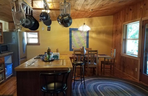 Jacksonville Cabin | Pet-Friendly Ruch Refuge with Hot Mineral Baths & Lake View