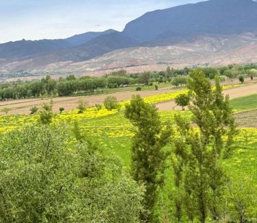 Panjakent Hotel | Discover Rudaki Hotel: Family-Friendly Stay in Panjakent