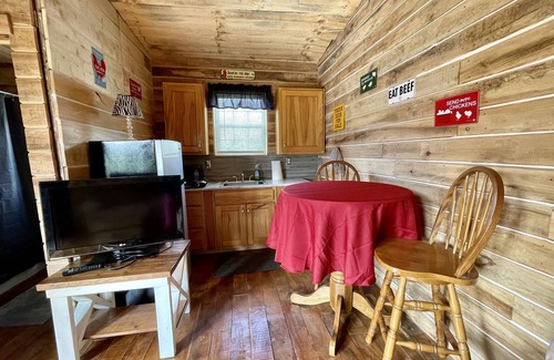 Southern Cabin | Rudy’s Roost Cabin: Pet-Friendly Escape near Route 16