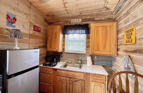Southern Cabin | Rudy’s Roost Cabin: Pet-Friendly Escape near Route 16