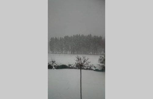 Limbach Apartment | Relaxing Retreat with Amazing Views in Nature