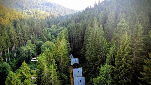 Eibenstock Apartment | Ruheort mitten im Wald