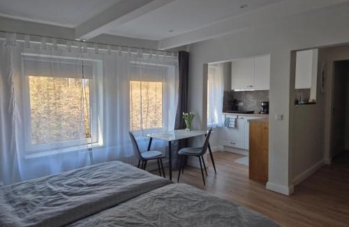 Flensburg Apartment | Tranquil One-Bedroom Retreat with Child-Friendly Amenities