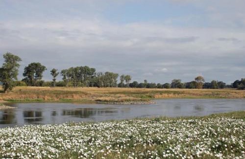 Pflueckuff Apartment | Tranquil Retreat Near the Elbe - Perfect for Families & Pets