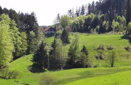 Biederbach House | Relaxing Retreat with Spa on Lama and Maine Coon Farm