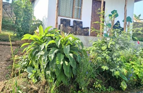 Luhizha House | Ruhija Gorilla Guest House: Pet-Friendly Retreat with Ocean Views