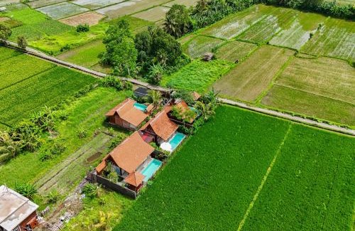 Mambal Villa | Rumah Tengah Sawah