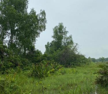 Kalimantan House | Rumbia Lodge
