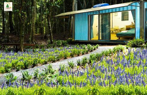 Duc Trong Cabin | Discover Comfort at Khu du lịch Rừng Thông Núi Voi