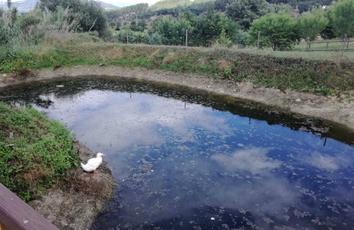 Covilha Cottage | Discover Rural Farm - Our Lady of Carmo Teixoso Retreat