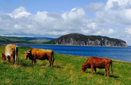 Campbeltown House | Discover Kintyre's Hidden Gem: A Family-Friendly Retreat