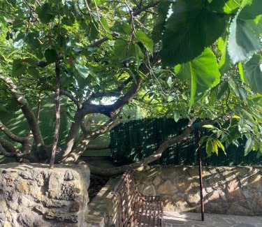 Tacoronte House | Relax in La Serreria 25: Private Garden & Ocean Views